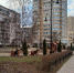 l5t4Cr4_dbo.jpg - OnlineTambov.Ru