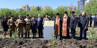 Тамбовские полицейские  в ходе Всероссийской  акции «Сад Памяти» к юбилею Великой Победы высадили аллею из молоденьких  сосен - УМВД Тамбовской области