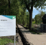 Работы по обновлению парка "Патриот" в Рассказово вышли на новый этап - OnlineTambov.Ru