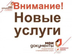 Во всех МФЦ области с 09.06.2025 принимаются обращения (жалобы) Уполномоченному по правам человека в Тамбовской области