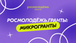 У тамбовчан появилась возможность принять участие во всероссийском конкурсе молодежных проектов «Росмолодежь. Гранты Микрогранты»