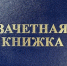 Суд приговорил старшего преподавателя МичГАУ к штрафу в 4 млн рублей и конфискации взятки - OnlineTambov.Ru