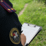 В Тамбове по факту нападения бездомной собаки на детей возбудили уголовное дело - Комсомольская Правда