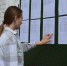 В Тамбовской области 263 выпускника пересдают ЕГЭ - OnlineTambov.Ru