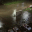 AcLv5D674WL8Q6i_gu3ZLBzSazu9chhclrPeMglrZJYmkQN3BmrFUCzCuTkNx_LUIxcuiNUN_ffFUoAc1tPJjhyg.jpg - OnlineTambov.Ru