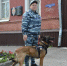 Анастасия и Марта помогут: тамбовский кинолог награждена медалью за доблесть - Тамбовская жизнь