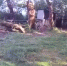 Водоем для отдыха в Никифоровском округе превратили в свалку - OnlineTambov.Ru