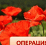 JPG Файл - УМВД Тамбовской области