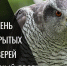 В Мичуринске этнопарк «Соколиный двор» проведет день открытых дверей - Комсомольская Правда
