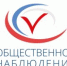 Общественное наблюдение на выборах в России стало нормой электорального процесса - Общественная палата