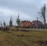 Власти Тамбова объявили осеннюю закупку саженцев деревьев - OnlineTambov.Ru