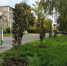 photo_2025-09-24_16-33-27.jpg - OnlineTambov.Ru