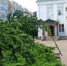 О заседаниях комитетов Тамбовской городской Думы в ноябре - Городская Дума