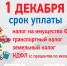 Меньше двух недель остается до истечения срока уплаты имущественных налогов - Администрация г. Тамбова