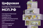 Тамбовские предприниматели активно используют цифровую платформу МСП.РФ