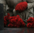 В День Неизвестного Солдата в Тамбове почтили память воинов - Администрация г. Тамбова