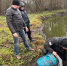 Более ста карпов выпустили в старинный пруд Уваровского округа - OnlineTambov.Ru