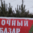 В Тамбове появятся дополнительные елочные базары - Комсомольская Правда