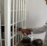 100 - Тамбовский курьер