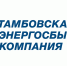 Обязательная для раскрытия информация гарантирующего поставщика ПАО «Тамбовская энергосбытовая компания» - Тамбовская жизнь