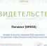 Пигмент (КРАТА)_page-0001.jpg - Пигмент