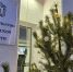 IMG_20260104_132409_066 - Тамбовский курьер