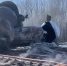 ЮВЖД и МЧС завершили ликвидацию последствий пожара на станции Кочетовка - ИА Тамбов-информ