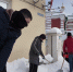 Работа студенческих бригад по уборке снега в Тамбове продлена - OnlineTambov.Ru