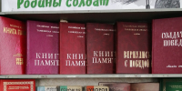 Стоит на страже Родины солдат - Библиотеки Тамбовской области