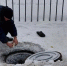 В Тамбове продолжается ремонт водовода на Пушкарской - OnlineTambov.Ru