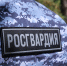 Росгвардейцы более 100 раз выезжали по сигналу «тревога» за неделю в Тамбовской области - Росгвардия