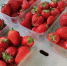 Аллерголог назвала продукты, которые нельзя есть в сезон цветения - OnlineTambov.Ru