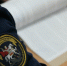В Тамбовской области заключили под стражу трех сотрудников полиции - Тамбовская жизнь