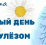 Викторина «Здоровье — бесценный дар» - Библиотеки Тамбовской области
