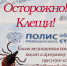 Клещ не дремлет! - ГБУЗ ТОДКБ