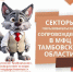 Новый консультант многофункционального центра Тамбовской области - МФЦ