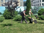 Службы городского хозяйства  продолжают борьбу с сорной растительностью  