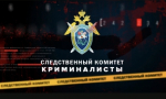 КРИМИНАЛИСТЫ. Специальный выпуск программы "Дежурная часть"/ВЕСТИ. ТАМБОВ